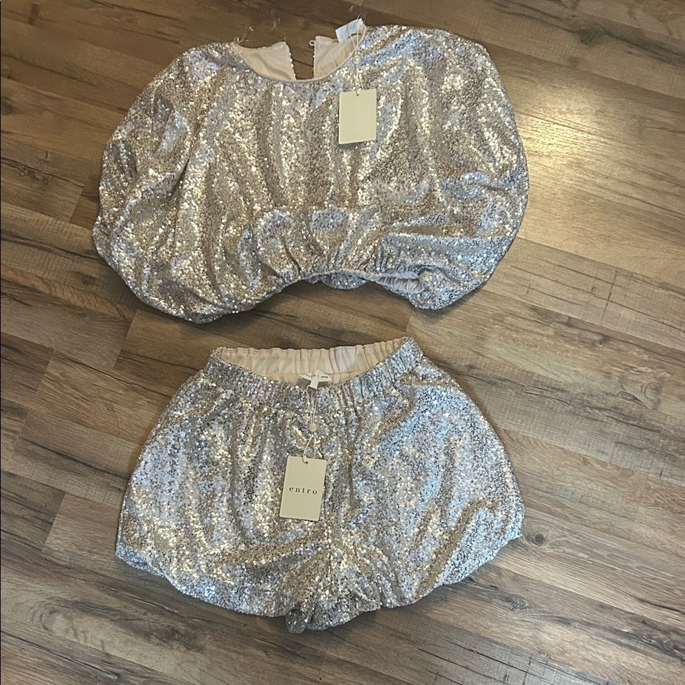 Entro Silver Sequin Crop Top